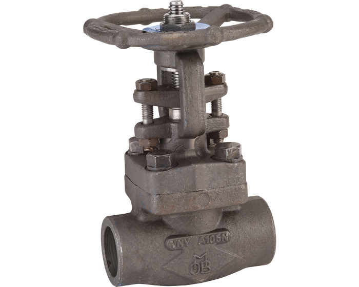 Carbon steel A150N gate valve 111 TRIM 16 800 lbs SW 1/2''